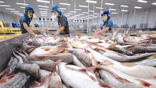 Khối lượng xuất khẩu cá tra Việt Nam sang Mỹ giảm