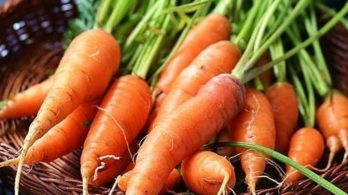 Những lợi ích của cà rốt với sức khỏe có thể bạn chưa biết