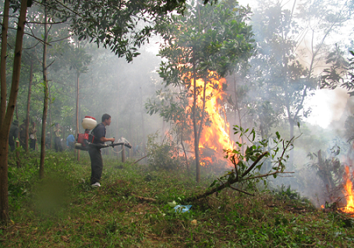 Thủ tướng chỉ đạo tăng cường các biện pháp cấp bách phòng cháy, chữa cháy rừng