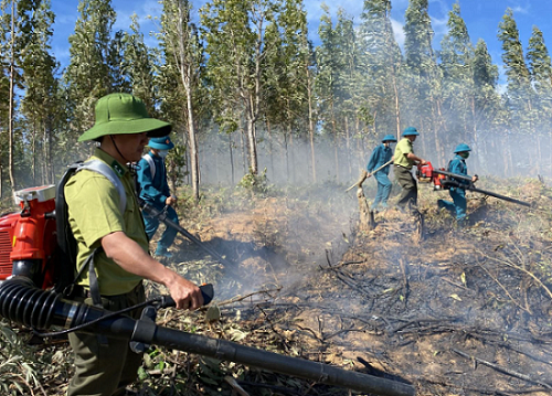 Thủ tướng chỉ đạo tăng cường các biện pháp cấp bách phòng cháy, chữa cháy rừng