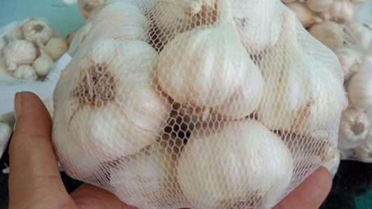 Loại củ cay nồng trắng muốt, vừa làm gia vị ngon vừa làm thuốc quý, là đặc sản nổi tiếng Ninh Thuận