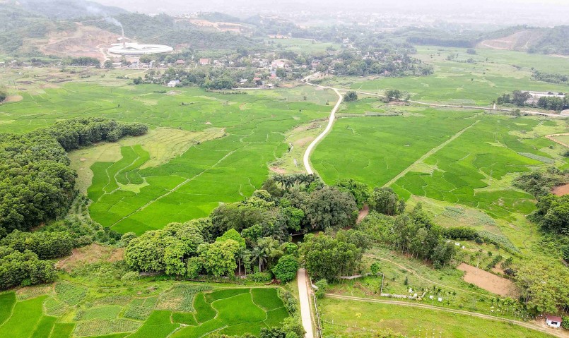 Tọa lạc tại cánh đồng rộng lớn thuộc xã Hợp Hòa, huyện Lương Sơn (Hòa Bình) cây sanh như cái ô khổng lồ che trở cho làng.
