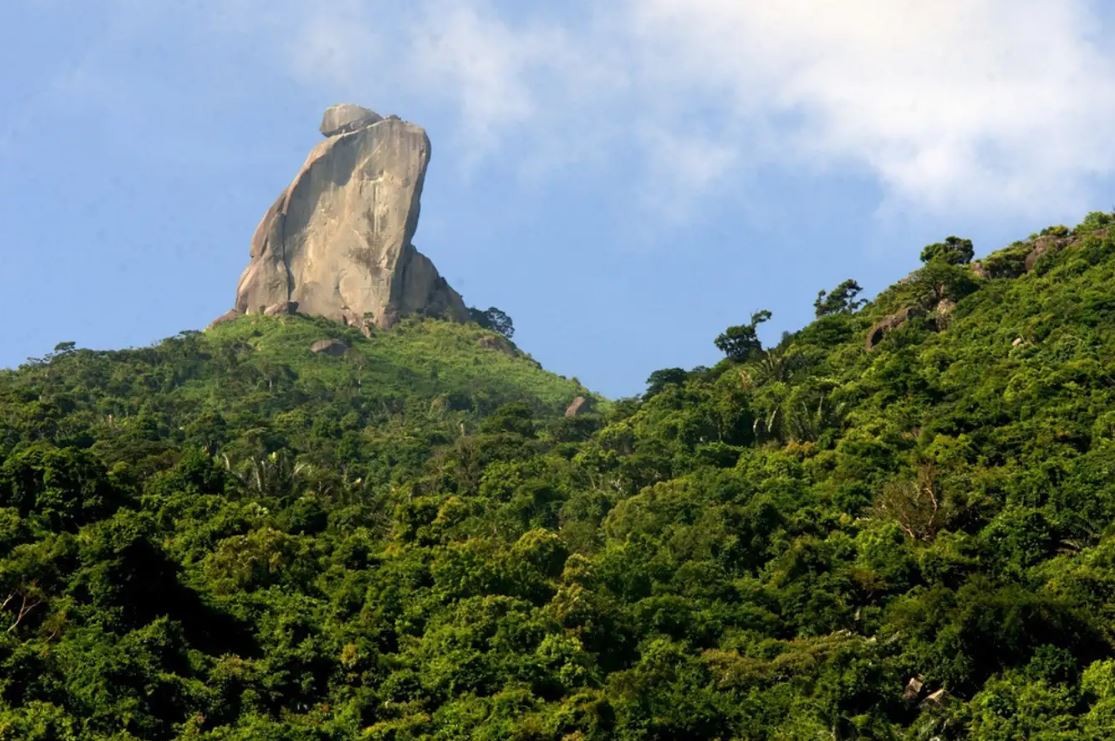 Khám phá đèo Cả Phú Yên - một trong những đèo hiểm trở nhất Việt Nam