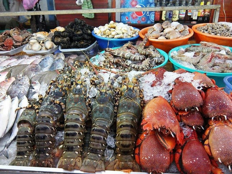 Review Làng chài Hàm Ninh - thiên đường hải sản