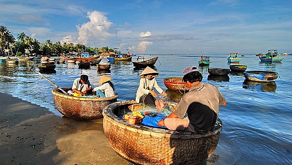 Review Làng chài Hàm Ninh - thiên đường hải sản