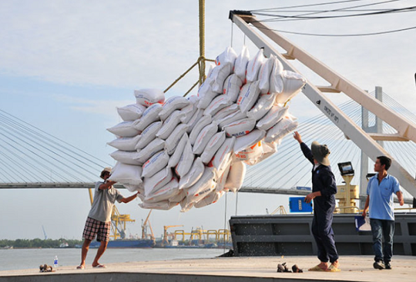 Cơ hội cho hạt gạo Việt chinh phục thị trường châu Phi