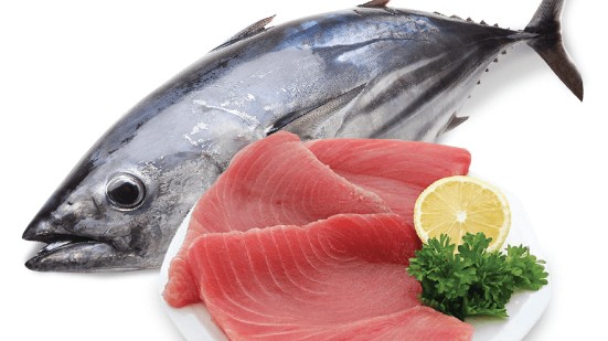 Xuất khẩu cá ngừ sang Lithuania dần hồi phục