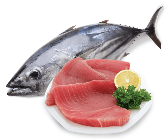 Xuất khẩu cá ngừ sang Lithuania dần hồi phục