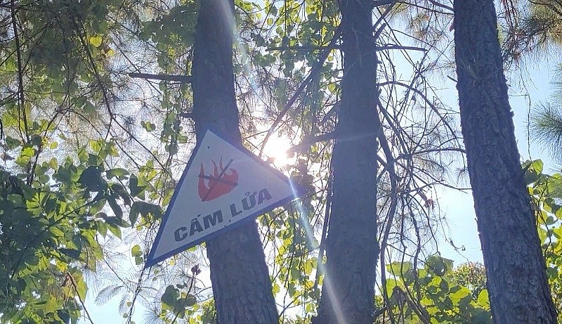 Biển cảnh báo cấm lửa được lắp đặt ở các cửa rừng, khu rừng ven dân cư và những nơi có nguy cơ xảy ra cháy rừng