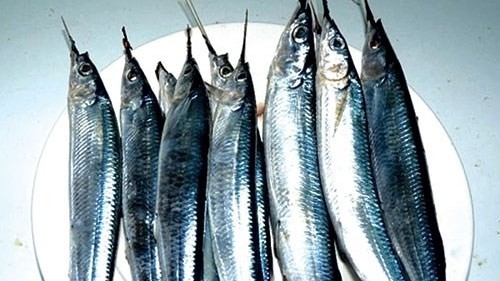 Loại cá nghe tên như hờn như trách, xưa ít người ăn, nay thành đặc sản 210.000 đồng/kg, làm gỏi ăn cực cuốn