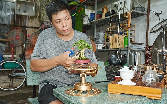 Nguyễn Vạn Hiếu luôn tìm tòi sáng tạo trong lĩnh vực bonsai.
