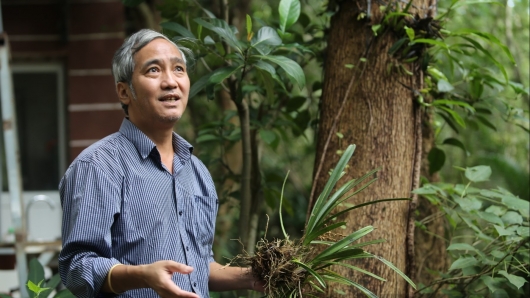 Ngược đời lên rừng trồng lan và những điều hiếm thấy ở khu bảo tồn lan lớn nhất Việt Nam