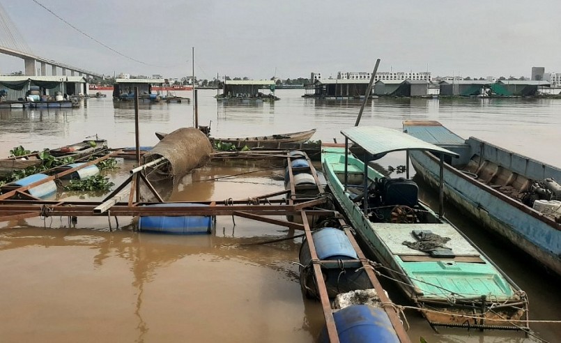 Toàn tỉnh Tiền Giang có hơn 1.000 lồng bè nuôi trên sông Tiền chủ yếu nuôi cá điêu hồng, trắm cỏ. 