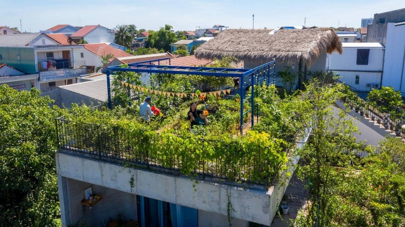 rất nhiều người ở thành phố cũng có nhu cầu làm vườn rau trên sân thượng.