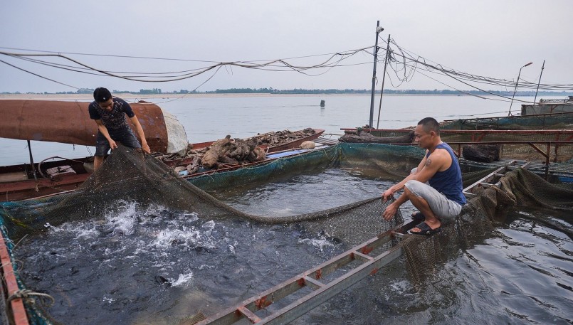 Biện pháp duy nhất cứu được người dân nuôi cá lúc này là chờ nước trên đập xả xuống.