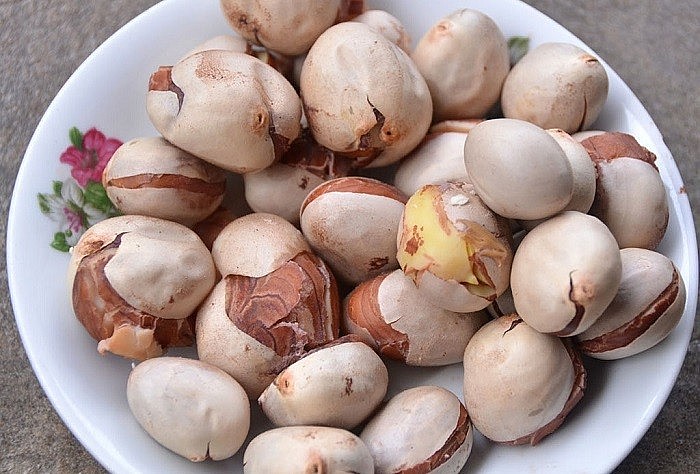 Thứ hạt gây ra mùi khó chịu, người Việt thường vứt bỏ lại có giá đắt ở Nhật vì “cực bổ dưỡng”