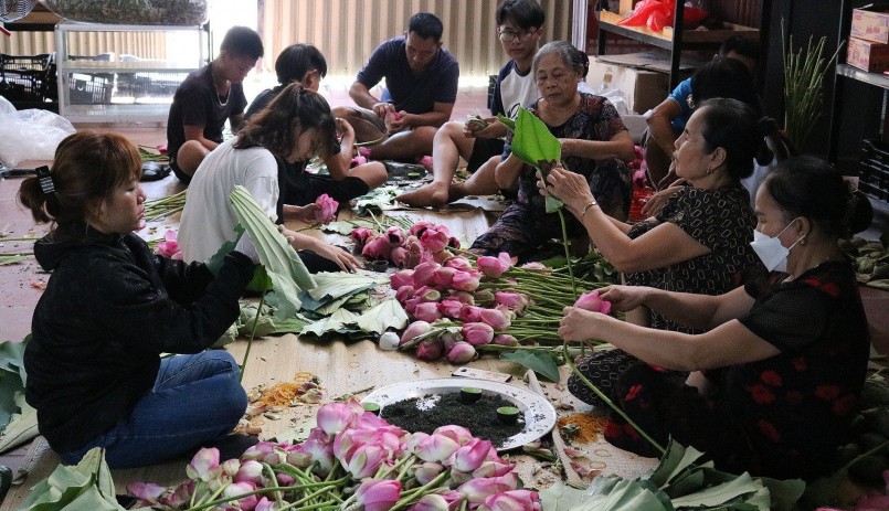 Các thành viên của gia đình không thể làm xuể nên anh phải thuê thêm người, trả công hái 500 đồng/bông. 