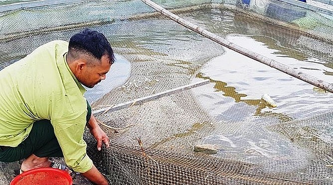 Anh Hồ Văn Phúc kiểm tra các lồng cá nuôi ở ở hồ thủy điện A Sáp (xã Hồng Thái, huyện A Lưới, tỉnh Thừa Thiên Huế).