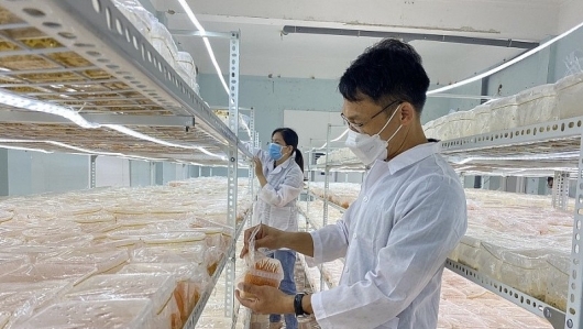 Nam Định thúc đẩy đầu tư cho các dự án khoa học và công nghệ