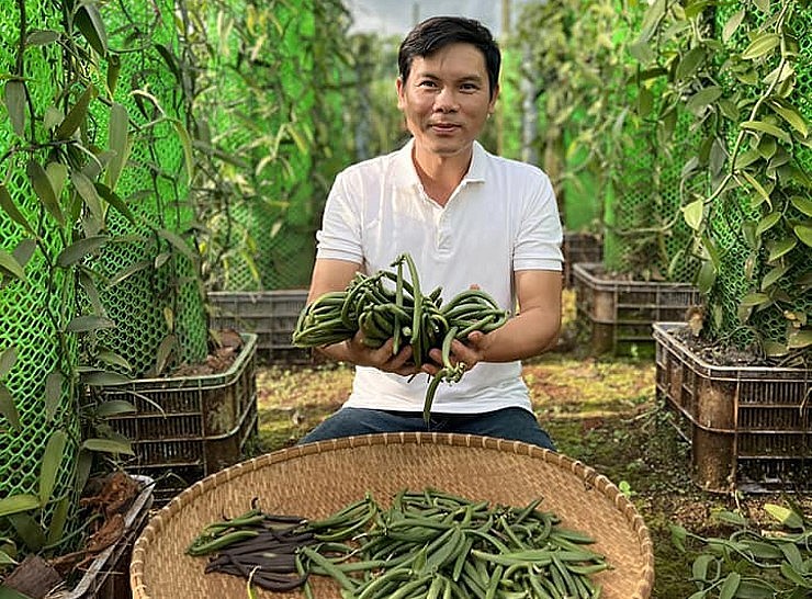 Hiện tại, giá bán trái vani thành phẩm tại Việt Nam dao động từ 10 đến 20 triệu/1kg tùy chất lượng.