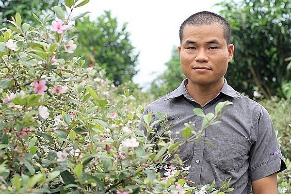 Dám bỏ công việc ổn định ở Hà Nội, anh Khiêm về quê khởi nghiệp với loài cây dại