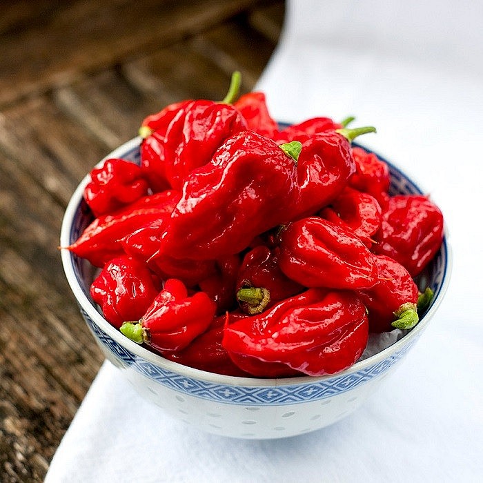 7 loại ớt siêu cay được ưa chuộng tại Việt Nam, có loại đắt nhất thế giới