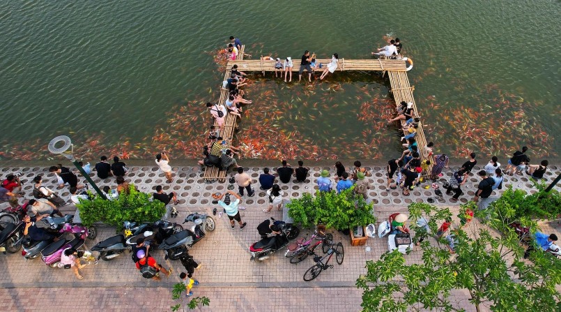  Hồ nước rộng 3,5 ha này đã được cải tạo thành hồ cá Koi lớn nhất Hà Nội, với hơn 12.000 chú cá Koi đủ màu sắc, kích thước. 