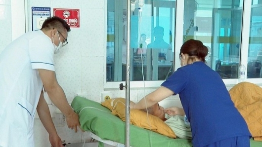 14 người ở Lai Châu nhập viện sau khi ăn nấm mọc hoang