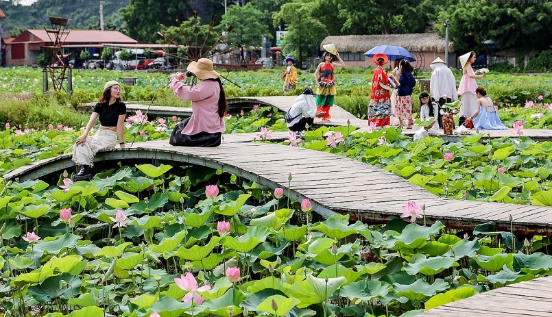 Một trong những điểm check-in nổi bật ở đây là con đường gỗ uốn lượn giữa hồ sen, rất tiện để du khách có thể ra giữa hồ chụp ảnh.