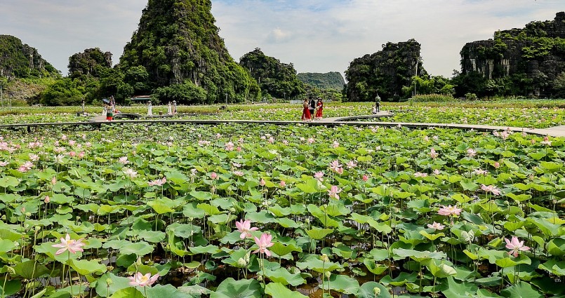 Với đủ các loại sen trắng, sen hồng, có thể nói đầm sen Vân Long là nơi check-in lý tưởng cho du khách bởi sen ở đây nở rộ cùng lúc, tạo nên cảnh quan đẹp mắt. 