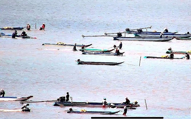 Bất chấp quy định cấm khai thác, hàng trăm phương tiện vào khu vực bãi bồi để hút nghêu giống ở khu vực bãi bồi thuộc Vườn quốc gia Mũi Cà Mau.