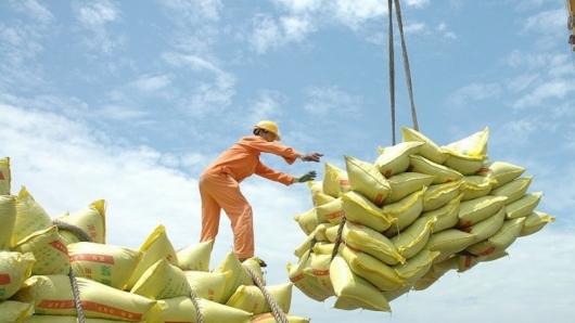 Đề xuất quy định mới về kinh doanh xuất khẩu gạo