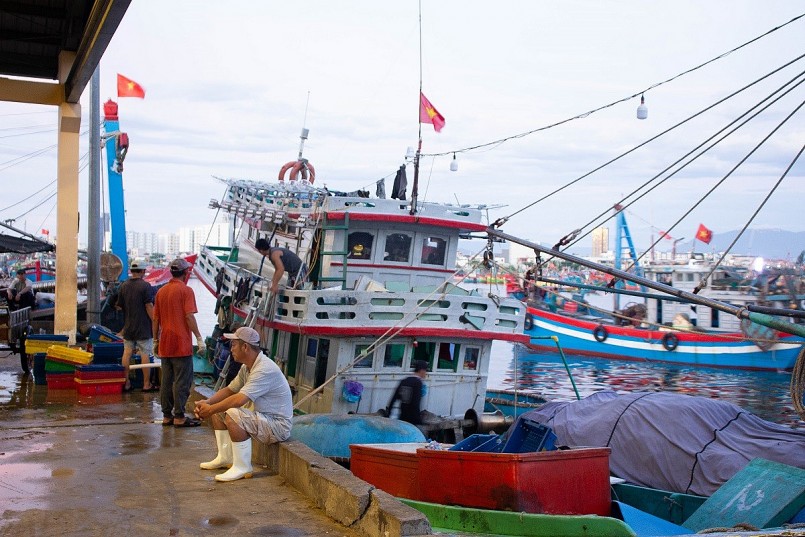 Nhộn nhịp phiên chợ sớm tại cảng cá lớn nhất miền Trung