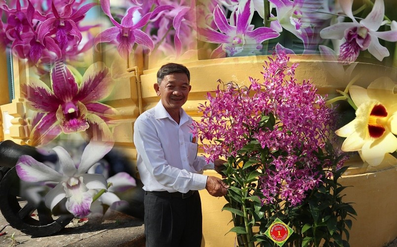 mỗi năm ông bán từ 1 - 2 ngàn chậu lan Dendrobium (đột biến).