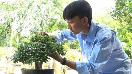 Chàng hot boy với biệt tài tạo dáng bonsai xứng tầm đẳng cấp nghệ nhân thủ phủ hoa cây cảnh
