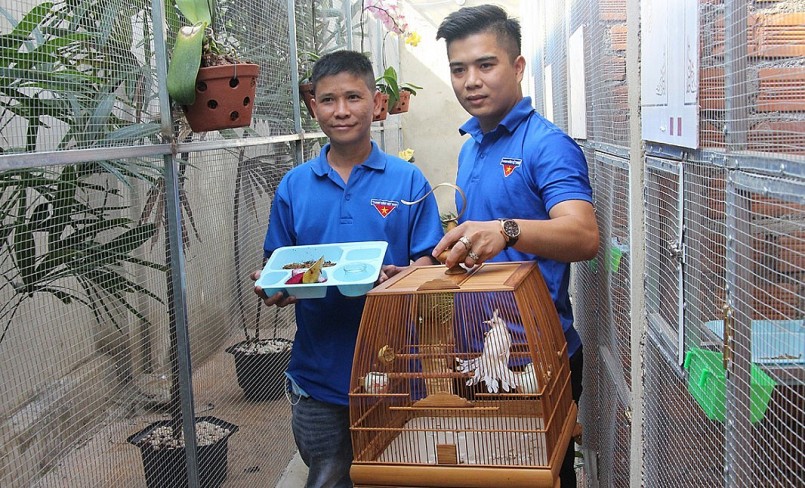Cử nhân 9X Nguyễn Việt Hùng (bên phải) đã tìm ra bí quyết  cho chim chào mào đột biến sinh sản để nhân giống.