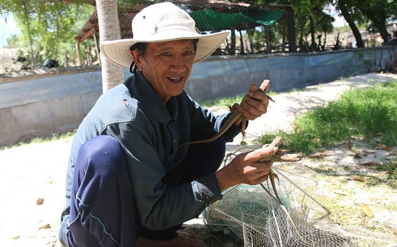 Trại nuôi dông của ông Trịnh Lân với số lượng gần 20.000 con dông giống và dông thương phẩm.