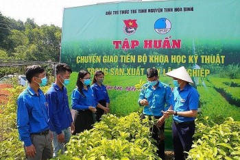 Hòa Bình tích cực thực hiện mục tiêu phát triển kinh tế tập thể