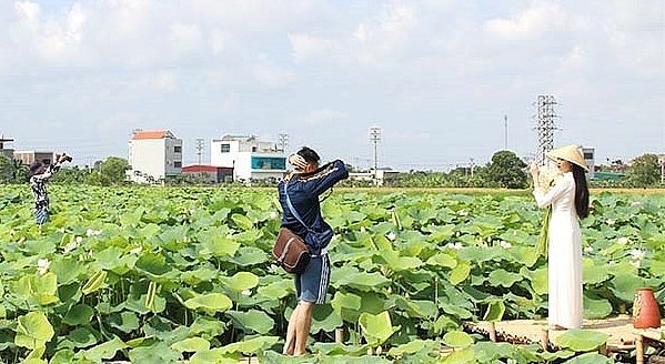 Du khách thích thú khi đến đầm sen Quê Hương để ghi lại những khoảnh khắc đẹp.