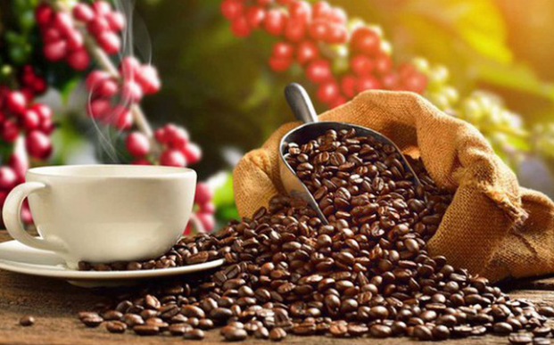 Xuất khẩu cà phê 5 tháng giảm lượng, tăng kim ngạch