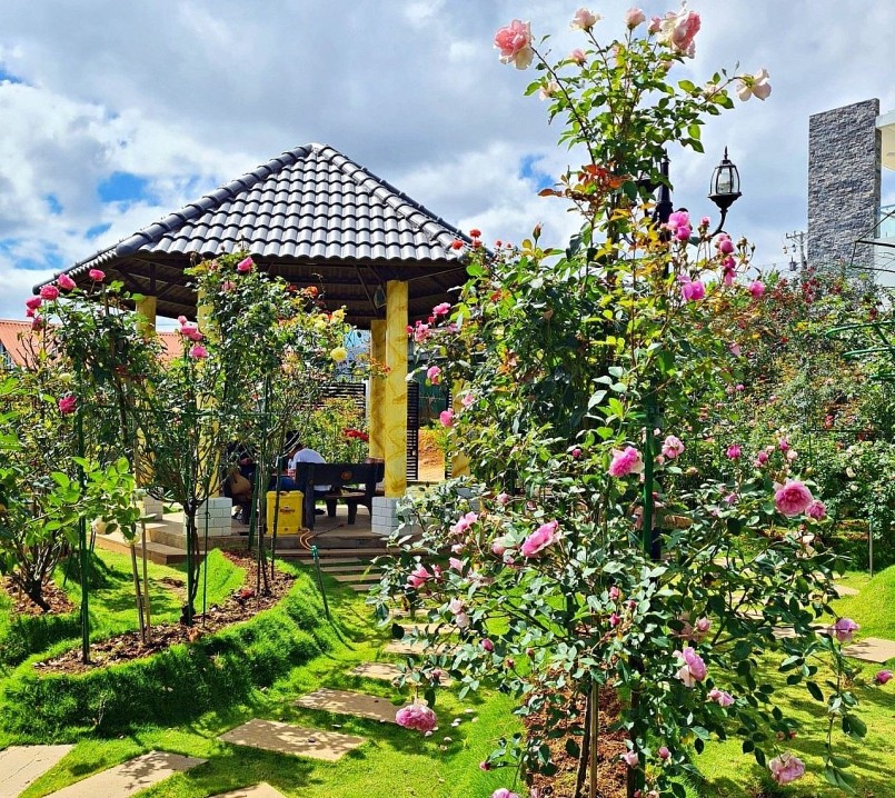 Một góc nhỏ vườn hoa hồng ngoại nhập trị giá 4 tỷ đồng của chị Khanh. 