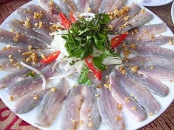 Cá nghéo Quảng Bình- đặc sản chỉ dùng thiết đãi khách quý