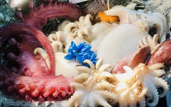 Xuất khẩu mực, bạch tuộc sang Nhật Bản có tín hiệu tích cực