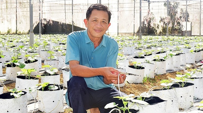 Ông Lê Mạnh Hùng mạnh dạn đầu tư trang trại theo hướng nông nghiệp công nghệ cao.