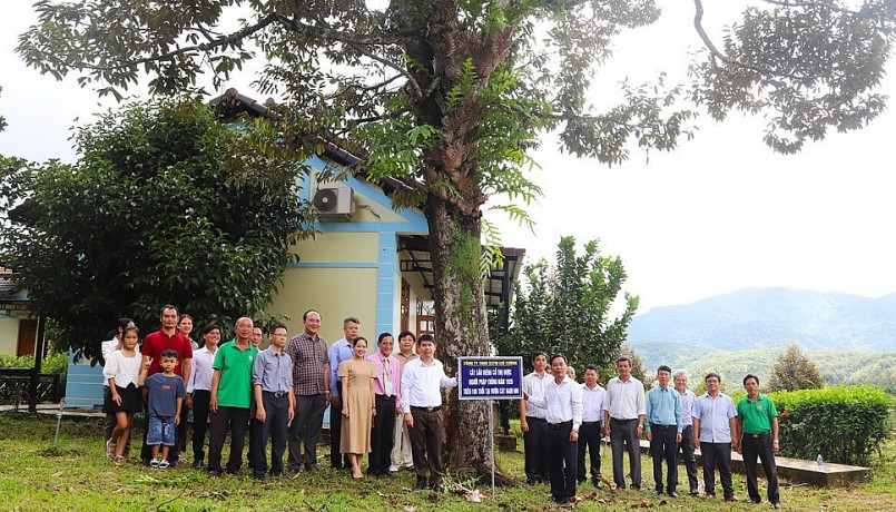 Lãnh đạo huyện Đạ Huoai cắm biển ghi nhớ lịch sử tại cây sầu riêng cổ thụ hơn 100 tuổi ở vườn trái cây Nam Nhi.