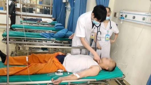 3 người ở Phú Thọ nhập viện cấp cứu sau khi bị ong đốt