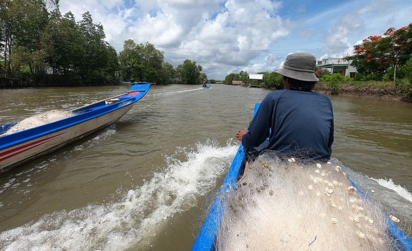 Người săn cá vồ chó phải di chuyển đoạn đường 70 – 80km, nhưng bù lại thu nhập khá cao.