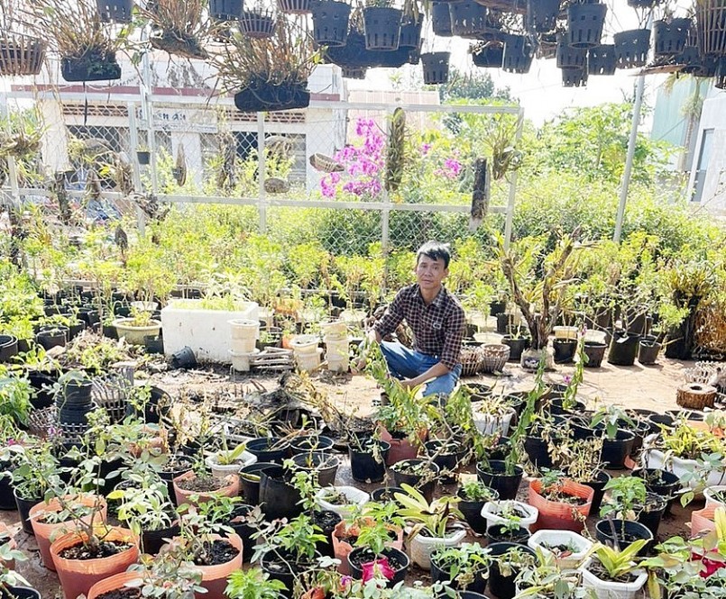 Mỗi năm, vườn hoa, cây cảnh mang lại cho gia đình anh Lê Hữu Trường hơn 250 triệu đồng.