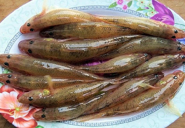 Loại cá xưa rẻ bèo ít người ăn, nay thành đặc sản được người thành phố ưa chuộng, 160.000 đồng/kg