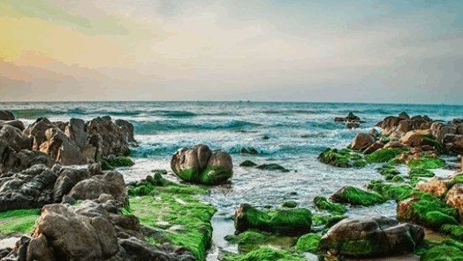 5 phong cảnh không thể bỏ lỡ khi tới vùng đất nắng gió Bình Thuận